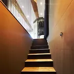 Soborka By Lucky Ship