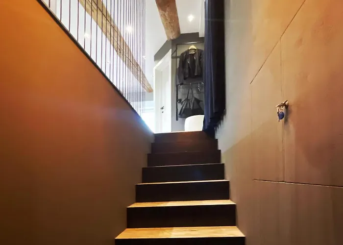 Soborka By Lucky Ship